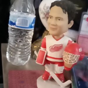 Red wings 31 figured